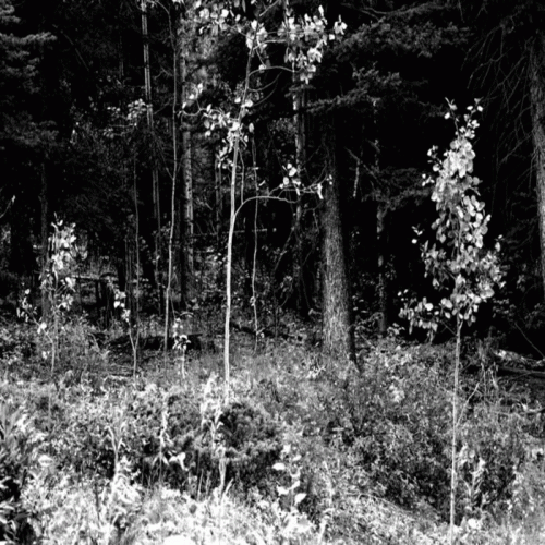 Cosmic Abyss : Forgotten Journey